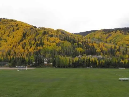 Village Center Condos